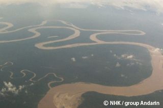 邦画・日本映画 The Mighty Rainforest PBS-36 Amazon.com: The Million Eyes of Sumuru (Extended Version
